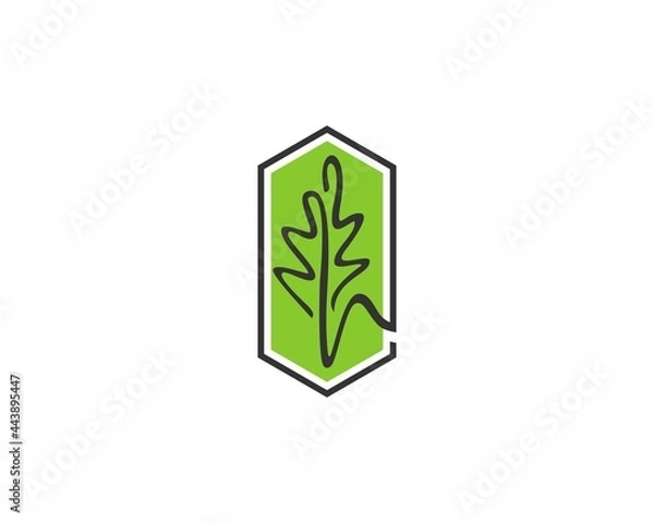 Obraz best oak leaf logo