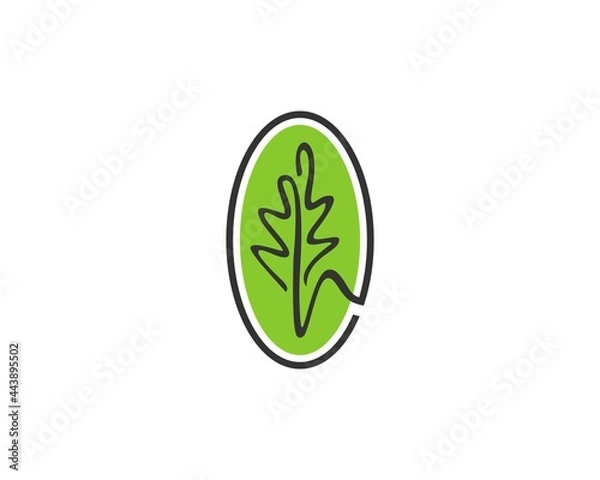 Fototapeta best oak leaf logo