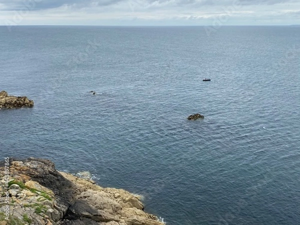 Obraz paysage de bretagne , la mer , las falaises, la côte sauvage