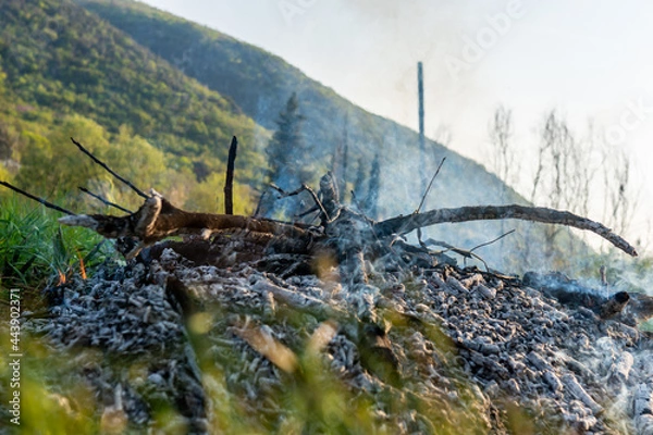 Fototapeta Extinguishing campfire with rising smoke in air, pile of burnt dry tree branches in the field on mountains background. Deforestation and air pollution concept