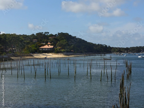 Obraz parcs huitres arcachon