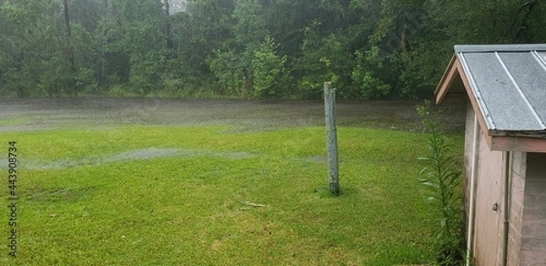 Obraz Storm Rains Florida