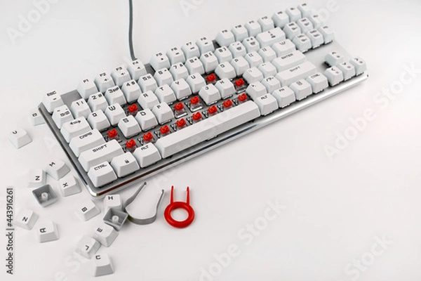 Fototapeta Disassembled keyboard on a white background. Disassembly and cleaning of the computer keyboard. Cleaning of computer equipment. Mechanical keyboard switches