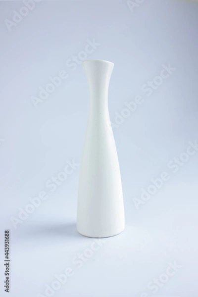 Obraz white vase