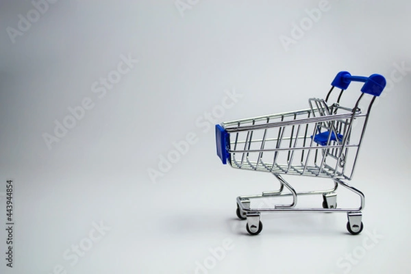 Obraz Empty shopping trolley, poverty, poverty. Not valid for purchases.