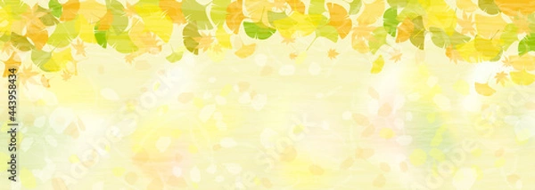 Fototapeta カラフルに色づいた銀杏の葉の横長背景イラスト
