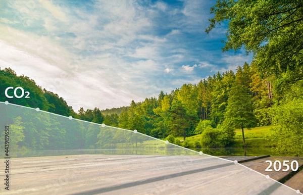 Obraz Net Zero Emissions Target