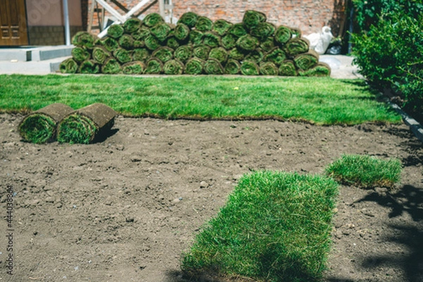 Fototapeta Rolls of fresh green lawn lie near the lawn on the ground. Delivery of the finished lawn rolls. A large stack of freshly grown lawn before laying on the site.