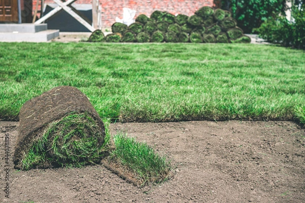 Fototapeta A roll of fresh green grass lies near the lawn on the ground. Delivery and laying of finished lawn rolls. Creating a beautiful green lawn from grass.