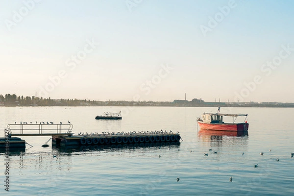 Fototapeta Pier with a bunch of seagulls on the background of a red fishing boat.