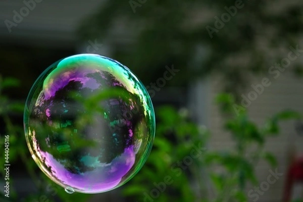Fototapeta Close up of single bubble floating in garden, selective focus