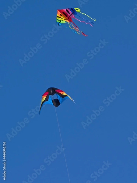 Obraz Isolated rainbow color kite flying in the blue sky