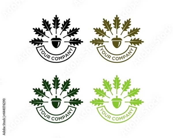 Fototapeta oak leaf and seed logo