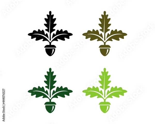 Fototapeta oak leaf and seed logo