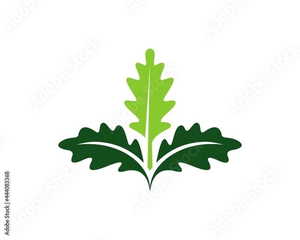 Fototapeta oak leaf logo
