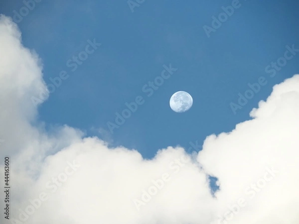 Fototapeta moon and clouds