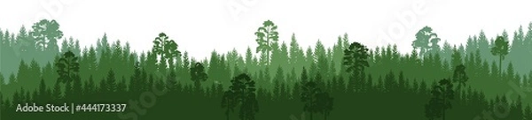 Fototapeta Pine forest. Silhouettes of coniferous trees. Wild landscape horizontally. Nice panoramic view. Beautifully illustration isolated on white background. vector