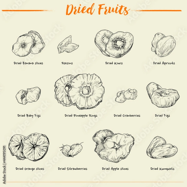 Obraz Hand-drawn vector illustration dried fruits by retro style, engraved dot and line art. include Banana, Raisins, Figs, Berries, pineapple, kiwi, Apricots, apples, and Orange.