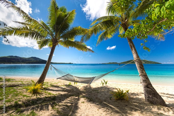 Obraz Hammock under palm trees on a beach in Fiji