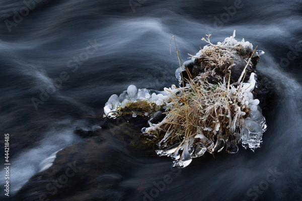 Fototapeta Freezing cold water flowing around a rock with ice and frost at a small river in Iceland