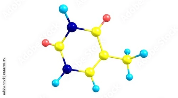 Fototapeta Thymine molecular structure isolated on white