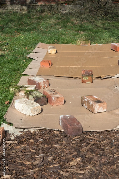 Fototapeta Cardboard placed on grass with old bricks on top with barck chippings to creat a new gardening or farming plant bed or path