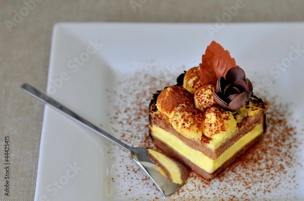 Obraz Tiramisu cake