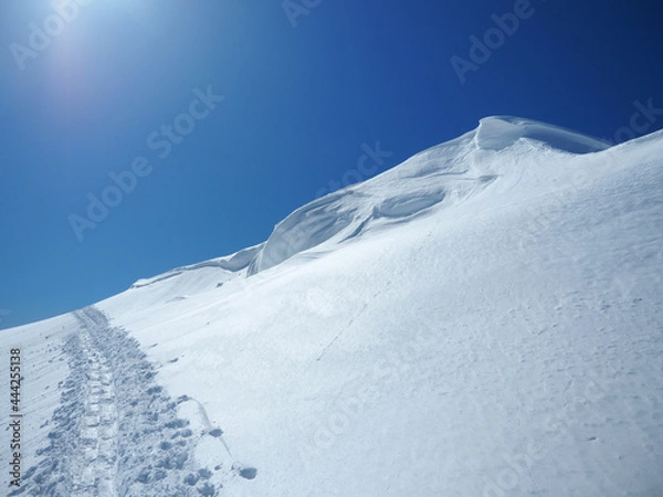 Fototapeta OLYMPUS DIGITAL CAMERA