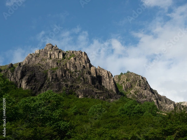 Fototapeta OLYMPUS DIGITAL CAMERA