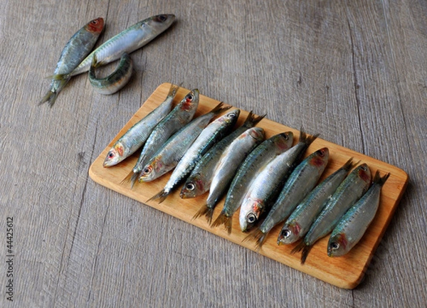 Obraz Fresh sardines on wooden board