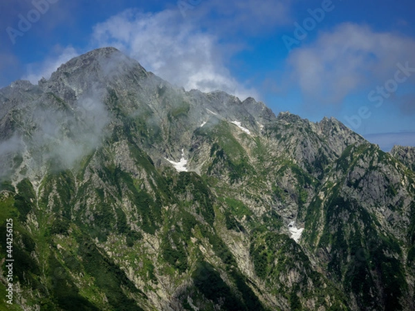 Fototapeta OLYMPUS DIGITAL CAMERA