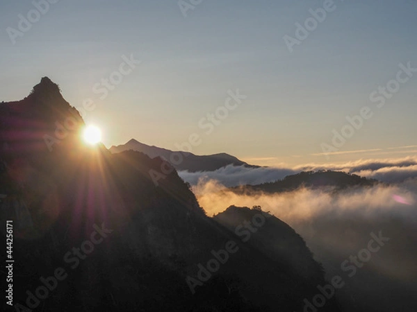 Fototapeta OLYMPUS DIGITAL CAMERA