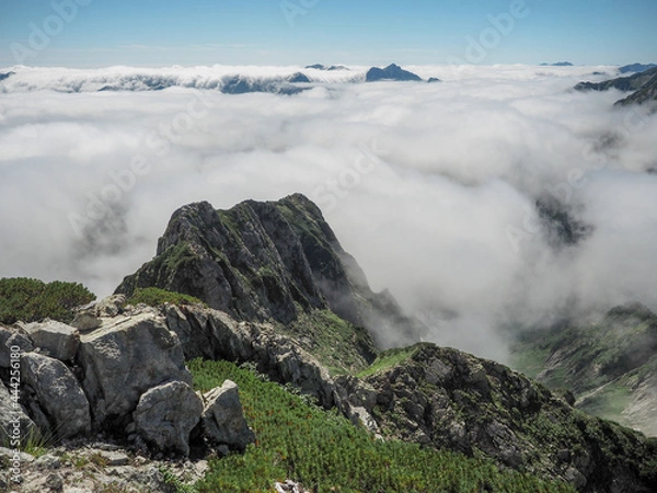 Fototapeta OLYMPUS DIGITAL CAMERA