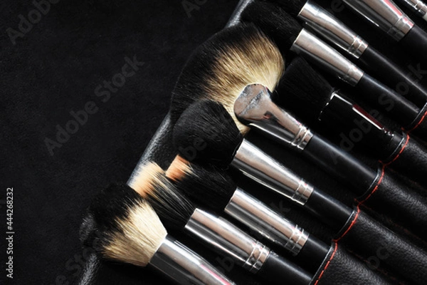 Fototapeta Professional makeup brushes kit with black background