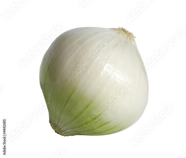 Fototapeta onion isolated with clipping path
