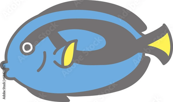 Fototapeta ナンヨウハギのイラスト