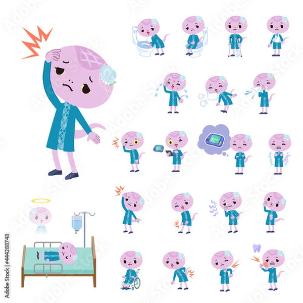 Fototapeta 怪我や病気状態のヘビの女の子のセット