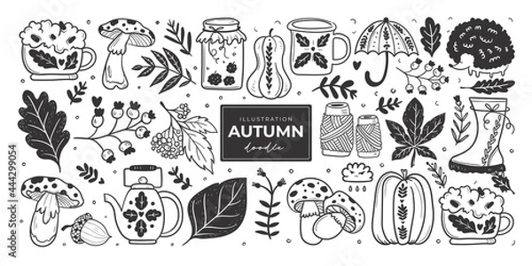 Fototapeta Hand drawn autumn doodle colorless illustrations. Set of cute vector objects. Illustrations for poster, background or card.