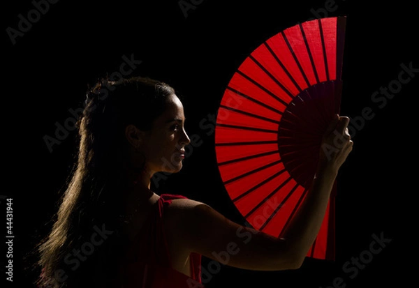 Obraz Flamenco artist