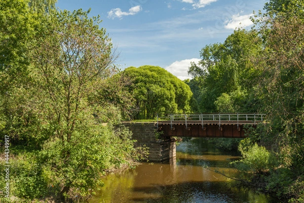 Fototapeta Small railway bridge over a small river in a summer forest among greenery