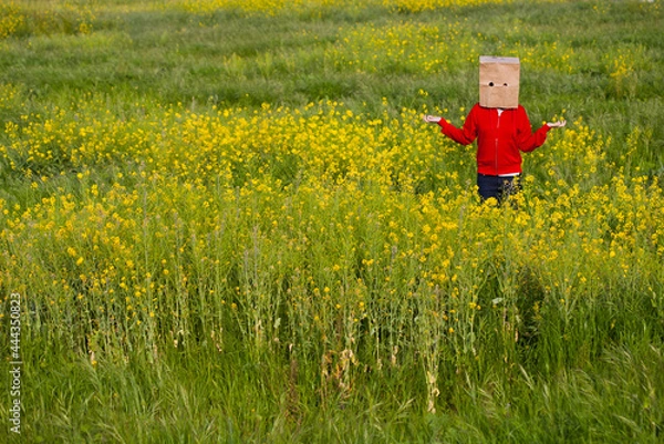 Fototapeta Bag head standing in a field