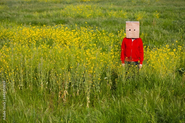 Fototapeta Bag head standing in a field