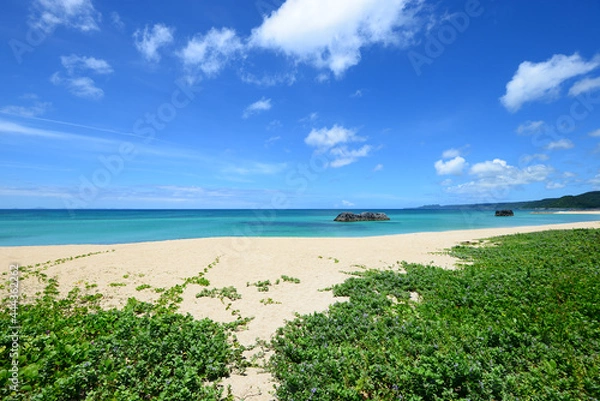 Fototapeta 沖縄　美しい海　癒やし