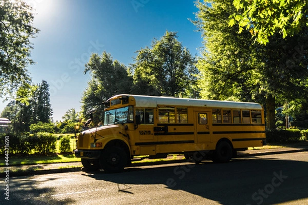 Obraz School bus side