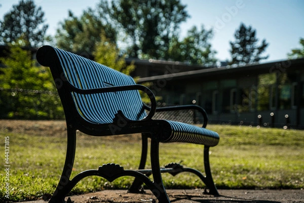 Obraz bench in the park