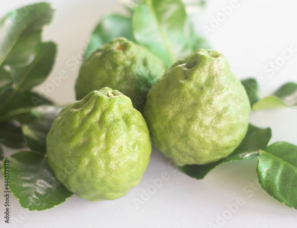 Obraz Fresh bergamot fruit.