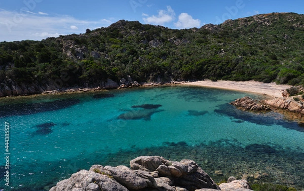 Obraz Cala Brigantina beach, little cove in Caprera island, Sardinia