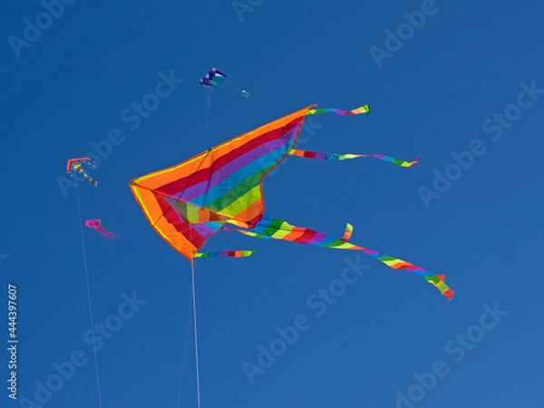 Obraz Isolated funny rainbow color kite flying in the blue sky