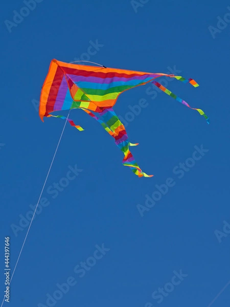 Obraz Isolated funny rainbow color kite flying in the blue sky