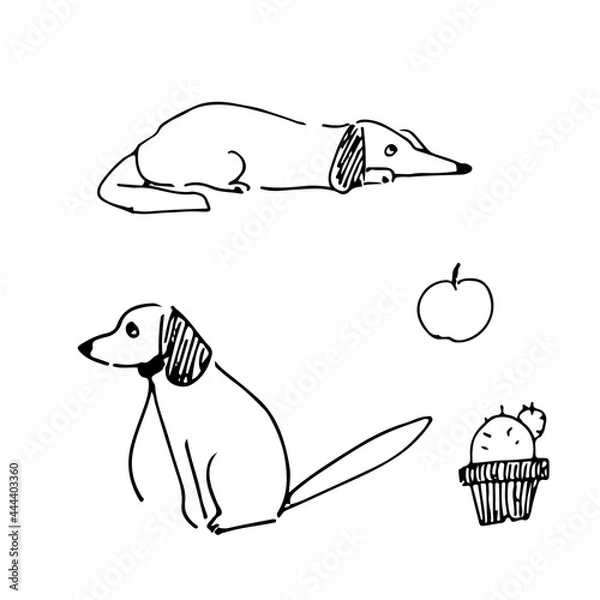 Obraz 手描きダックスフンド線画